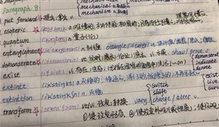 6604483b-da65-4f71-b12f-fea49dc39f42.jpg